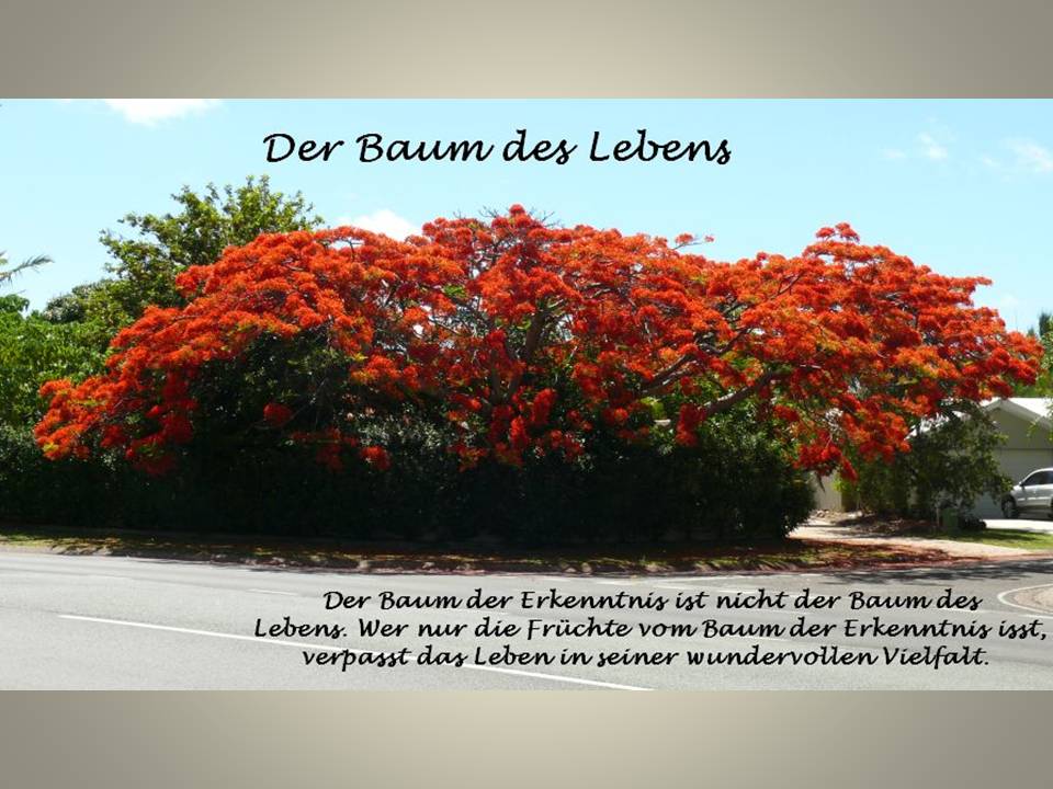 Der Baum des Wissens ist nicht der der Lebens.